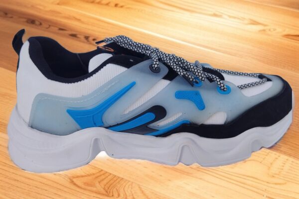 fancy shoes